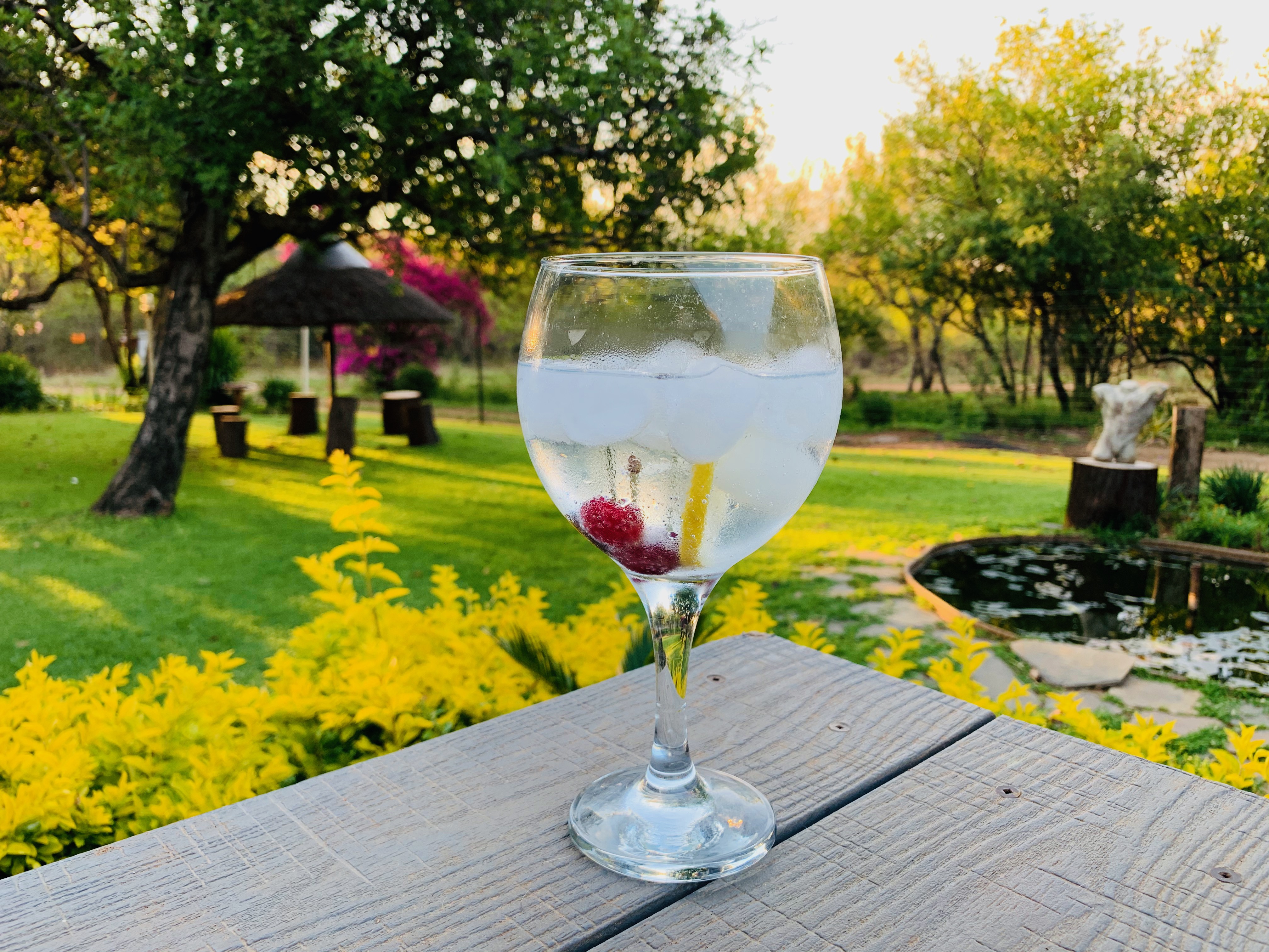 Gin Sundowners