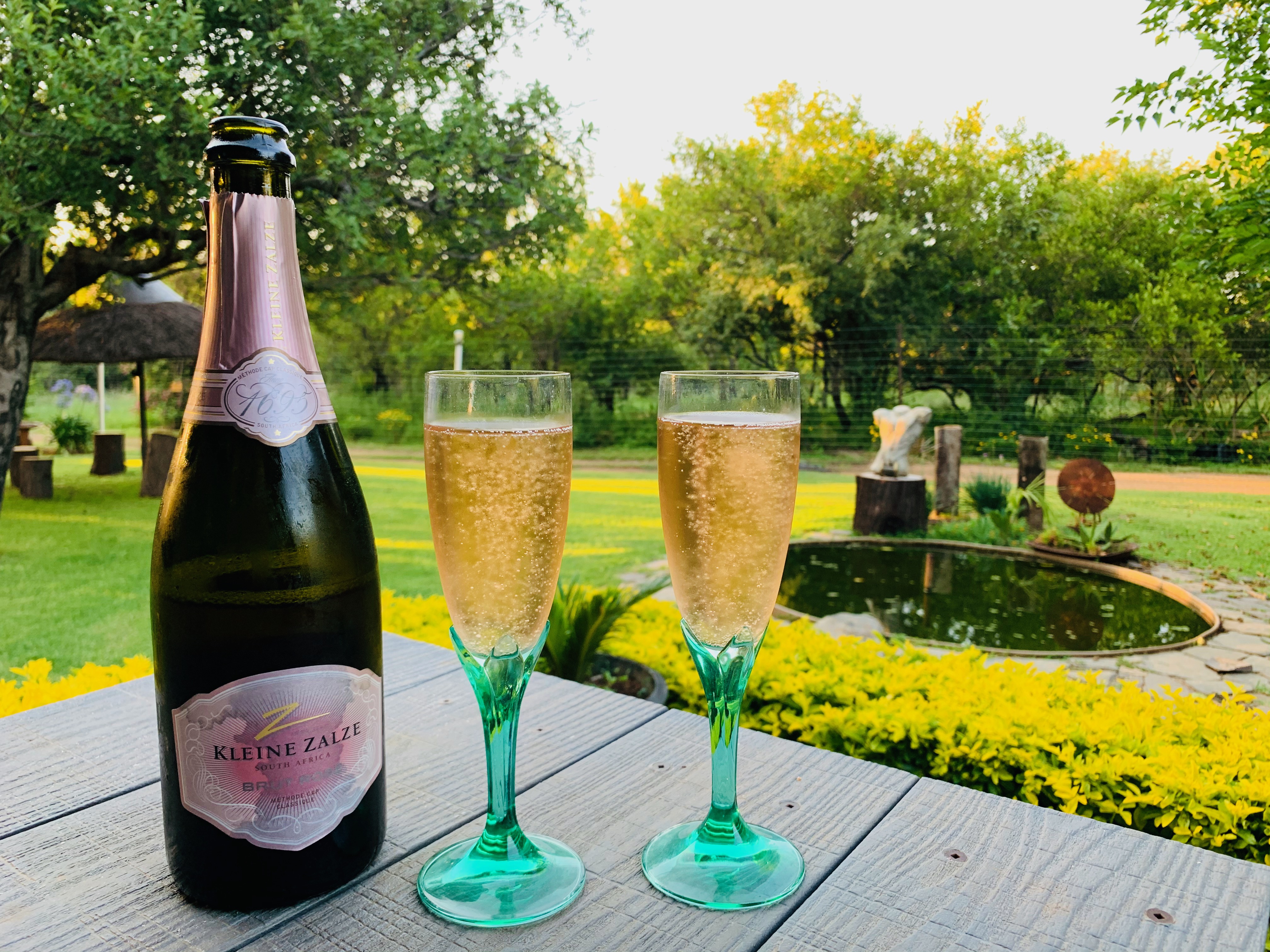 OppiPlasie Champagne